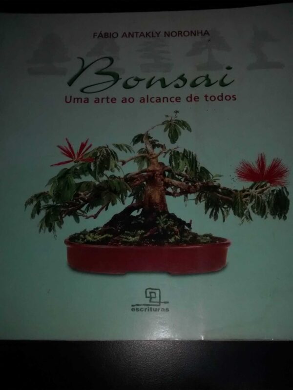 bonsai frente scaled