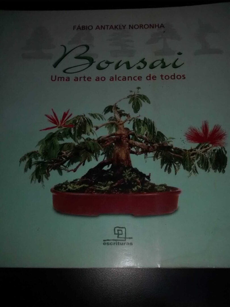 Bonsai Uma arte ao alcance de todos